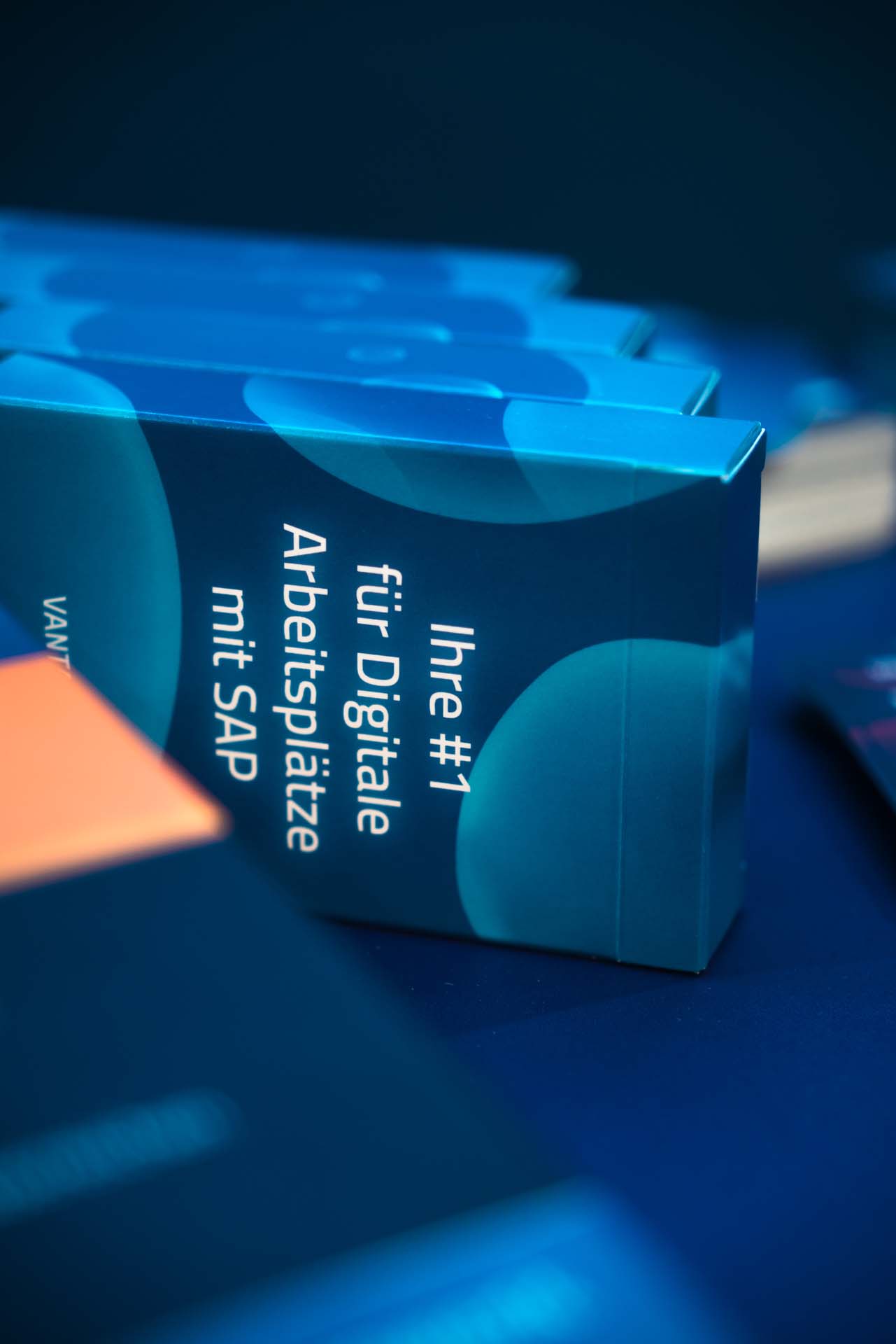 Stefan Bohlmann und Michael Beining