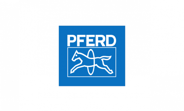 Pferd